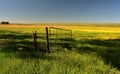 A long forgotten farm gate in a field of abundant flowers