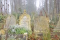 Cemetery grave stones, london