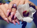 Long French nails with white manicure on a woman`s hand