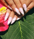 Long French nails with white manicure on a woman`s hand