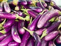 Long fresh organic raw purple brinjal or eggplant or aubergine in market. Healthy and delicious purple eggplants background