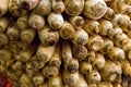 Long fruit root vegetables radish white daikon a lot of vegetable background close-up, upper end