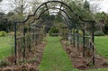 Midwinter garden rose arch. Waiting for spring to blosom again Royalty Free Stock Photo