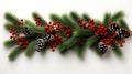 long garland of Christmas tree branches and red berries