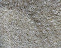 Long grain Jasmine Rice white bulk storage