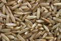 Long Grain Rice. Royalty Free Stock Photo