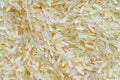 Long grain rice close-up, macro photography Royalty Free Stock Photo