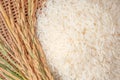 Long grain of rice and rice,White rice Jasmine rice thailand Royalty Free Stock Photo
