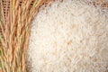 Long grain of rice and rice,White rice Jasmine rice thailand Royalty Free Stock Photo