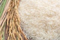 Long grain of rice and rice,White rice Jasmine rice thailand Royalty Free Stock Photo