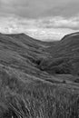 Long grass and winding road with mountains in black and white Royalty Free Stock Photo