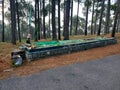 Long Grave in Forest by Road Side