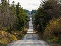 Long Gravel Road Through Dolly Sods in West Virginia in Autumn Royalty Free Stock Photo