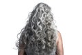 Long Gray Curly Hair , Rear View On White Background. Generative AI