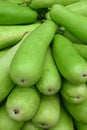 Long green bottle gourd shown from one end Royalty Free Stock Photo