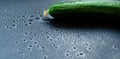 Long green cucumber on a black matte background
