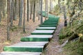 Long green wooden ladder in the wood as the road Royalty Free Stock Photo