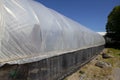 Greenhouse covered in plastic sheeting Royalty Free Stock Photo