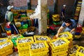 Long Hai, Vietnam - Dec 29, 2014: People's Daily life, fishing village with a lot of fishes in fishing basket at traditional