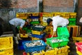 Long Hai, Vietnam - Dec 29, 2014: People's Daily life, fishing village with a lot of fishes in fishing basket at traditional