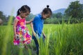 Long hair boy and little girl playing in rice field. and a girl she scared a muddy