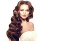 Long hair. Waves Curls Hairstyle. Hair Salon. Updo. Fashion mode Royalty Free Stock Photo