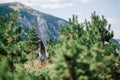 Long hair woman travel in spruce forest Royalty Free Stock Photo