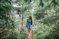 Long hair woman travel in spruce forest Royalty Free Stock Photo