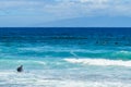 Long Haired Brunette Woman Entering The Atlantic Ocean To Surf Waves On Las Americas Beach. April 11, 2019. Santa Cruz De Tenerife