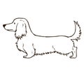 Long haired dachshund outlines only Royalty Free Stock Photo