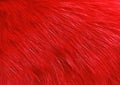 Long-haired faux fur dyed red.Texture or background Royalty Free Stock Photo