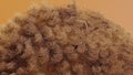 long-haired fur pompon, ball of hair, cotton wool, fluffy ball, colorful furry sphere, close-up fragment Royalty Free Stock Photo