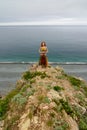 Long-haired girl on sea shore Royalty Free Stock Photo