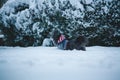 Long-haired tibetan terrier dog dressed in jacket walking in snowfall weather. Winter walk