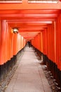 Long hallway in to Lucky Fox legenda Royalty Free Stock Photo