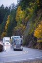 Long haul Semi trucks convoy in rain autumn windnig road