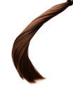 Long healthy straight brown hair ponytail on white background Royalty Free Stock Photo