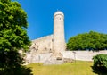 Long Herman tower in old town, Tallinn , Estonia