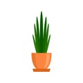 Long high leaf houseplant icon, flat style