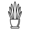 Long high leaf houseplant icon, outline style