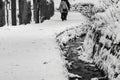 Long hiking path covered in snow with small stream running down the side Royalty Free Stock Photo