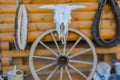 Long horned bull skull and old west wagon wheel hanged on a scratched wall Royalty Free Stock Photo