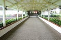 Long hotel corridor with potted plants Royalty Free Stock Photo