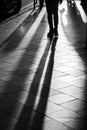 Long human shadows projected on the pavement at sunset Royalty Free Stock Photo