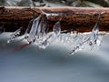 Long icicles hang above dark freeze water of mountain stream. Royalty Free Stock Photo