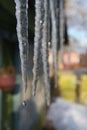 Long icicles hanging from the roof and drip Royalty Free Stock Photo