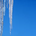 Long icicles hangs over blue cloudless sky