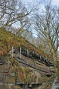 Icicles on a rock outcrop surrounded by ferns moss and plants in bright sunlight