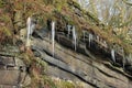 Icicles on a rock outcrop surrounded by ferns moss and plants in bright sunlight