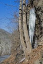 A long icile falls from a frozen waterfall beside a narrow road.